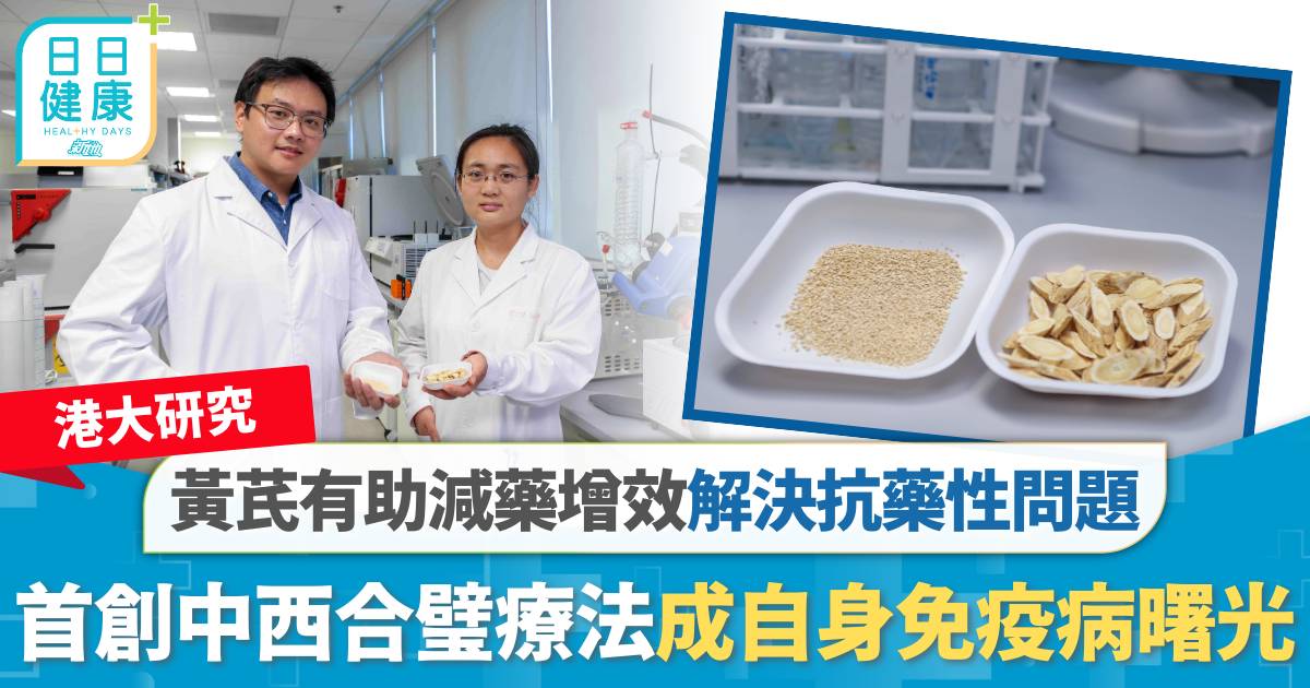 港大研究｜黃芪有助減藥增效解決抗藥性問題　首創中西合璧療法成自身免疫病曙光