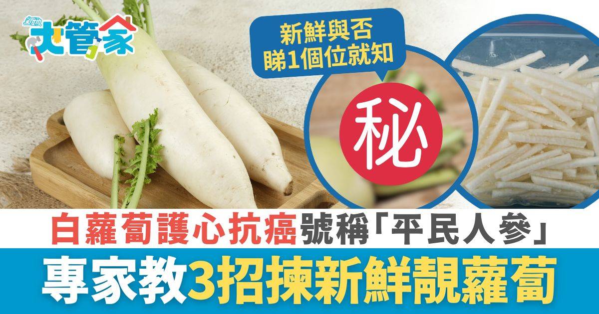 揀靚蘿蔔｜白蘿蔔護心抗癌號稱「平民人參」 專家教3招揀新鮮靚蘿蔔 烹調前關鍵1步留住抗癌營養