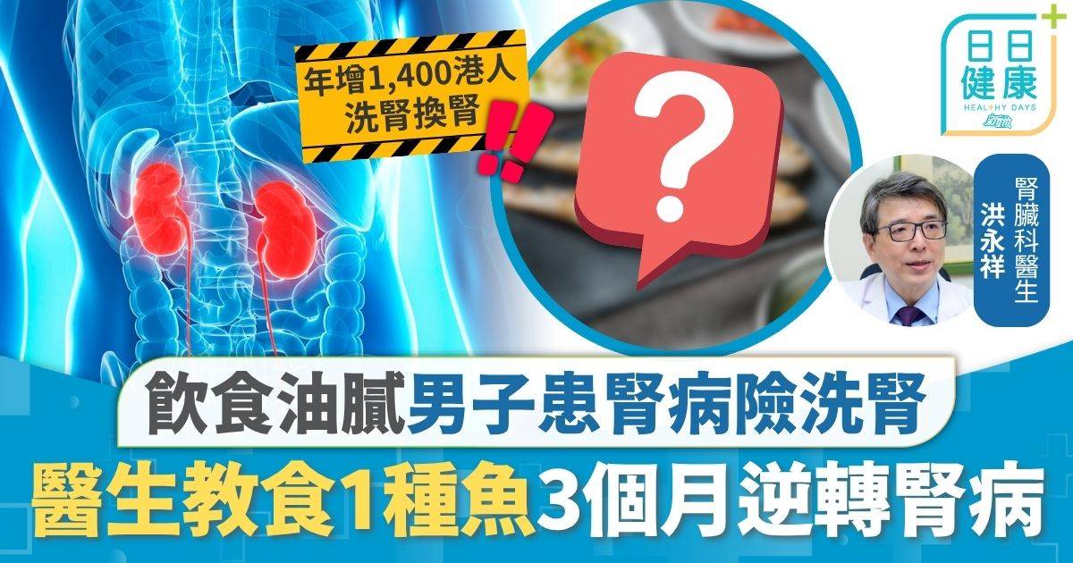 慢性腎病｜飲食油膩男子患腎病險洗腎 靠食1種魚3個月逆轉腎病 醫生拆解：有助對抗發炎