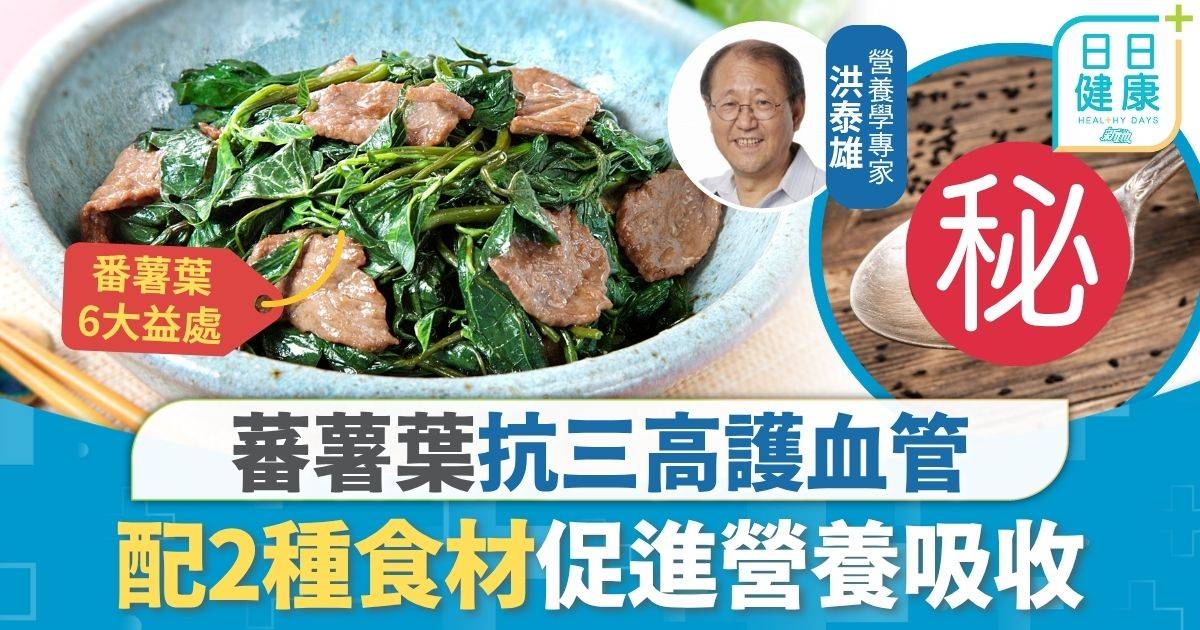 飲食營養｜蕃薯葉抗三高護血管 配2種食材促進營養吸收 炒完做多1步好處加倍