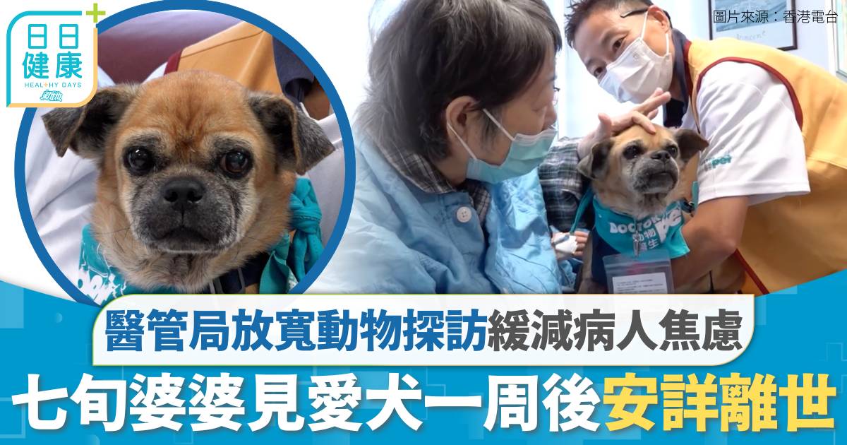 醫管局放寬動物探訪 冀末期病人緩減焦慮 婆婆見愛犬一周後安詳離世