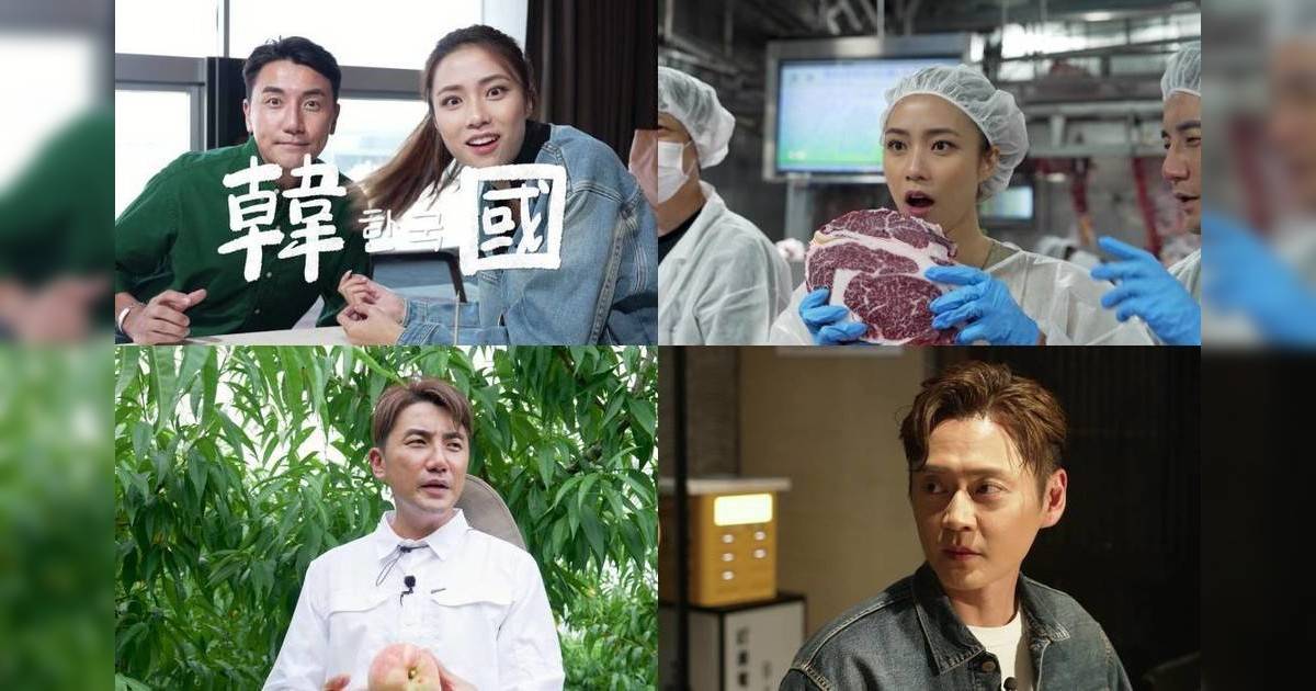 劉穎鏇韓國拍賣闖禍！語言不通亂叫價 130蚊掃250箱提子嚇呆洪永城？