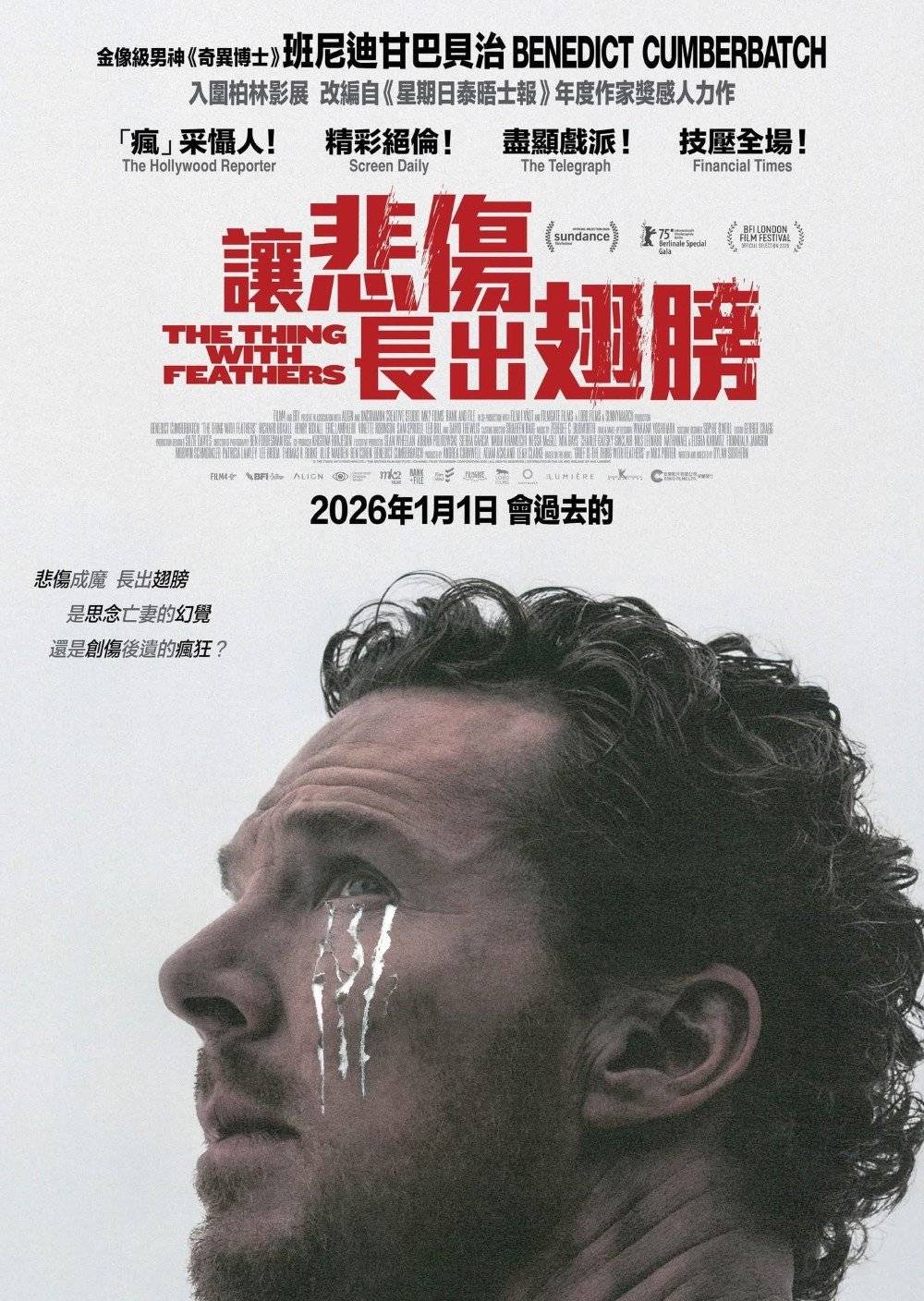 讓悲傷長出翅膀