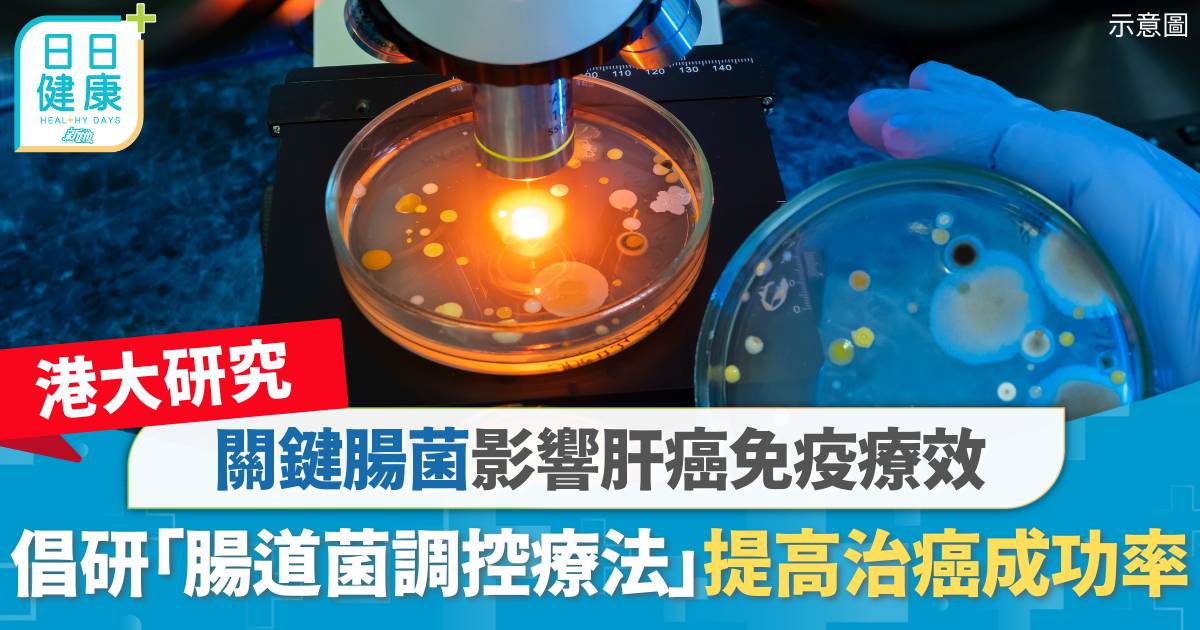 港大研究｜關鍵腸菌影響肝癌免疫療效　倡研「腸道菌調控療法」提高治癌成功率