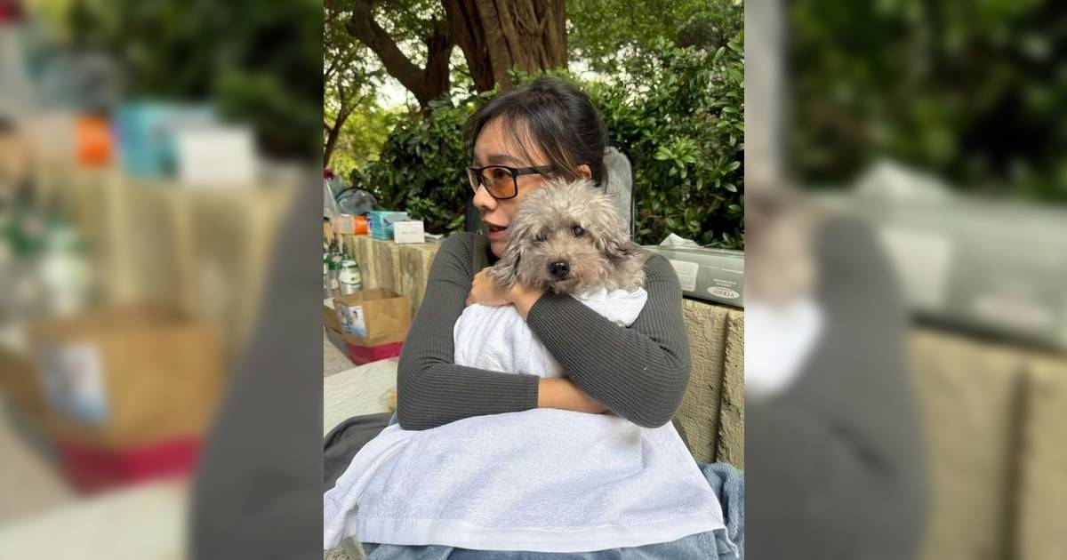 郭秀雲照顧火災獲救寵物 坐地緊抱小狗安撫情緒 宏福苑災民感動致謝