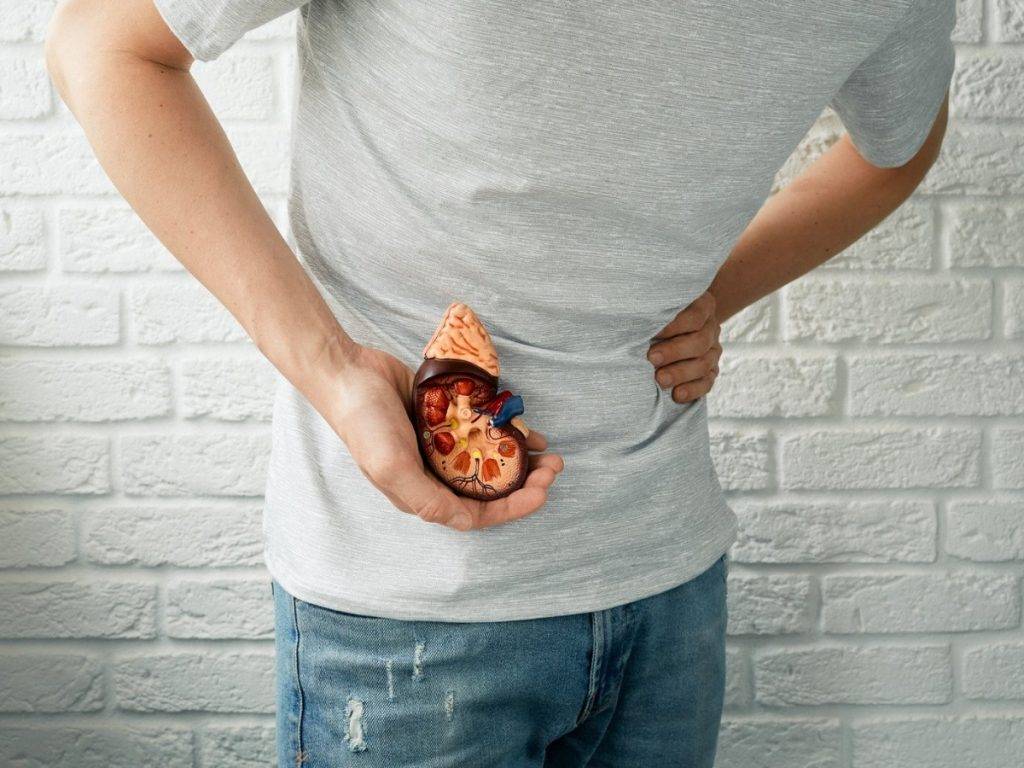 CKM症候群 腎功能衰退至一半以下才可能出現病徵,但往往已錯過治療黃金期(圖片來源:設計圖片)