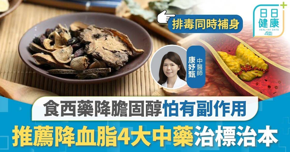 降膽固醇｜食西藥降血脂怕副作用 推薦降膽固醇4大中藥 較少副作用治標治本
