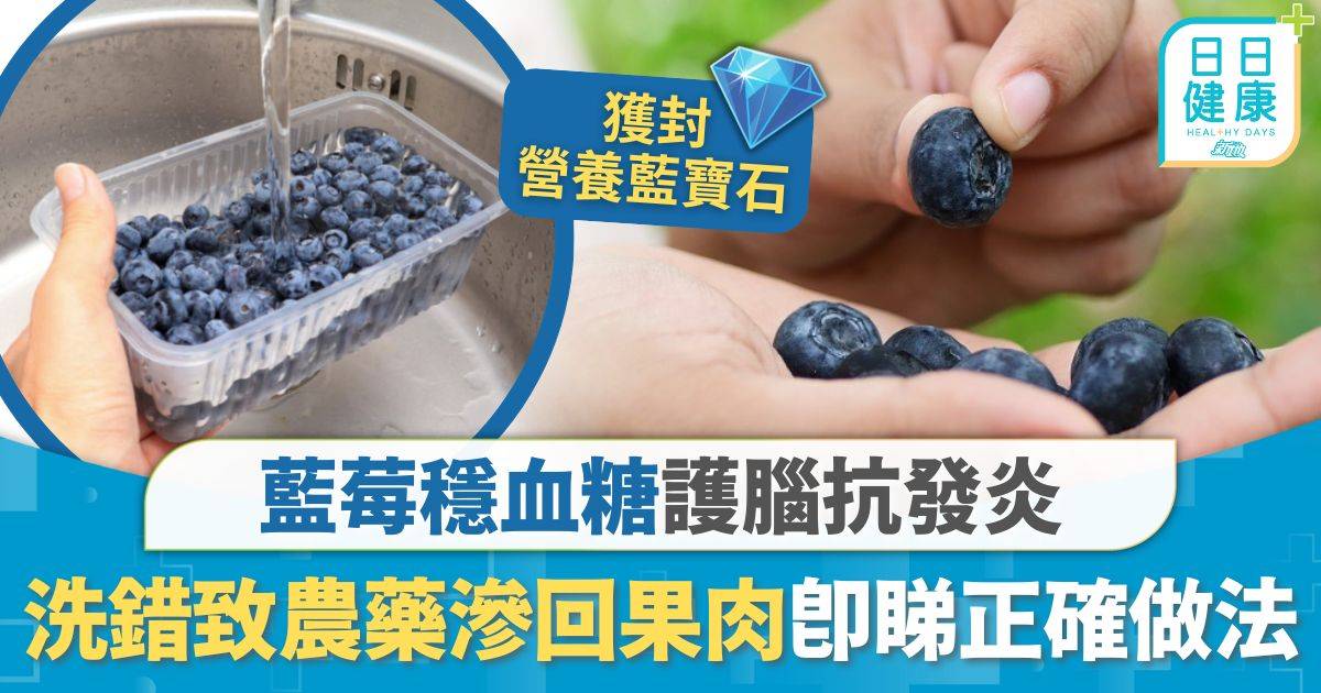 食用安全｜藍莓穩血糖抗發炎 洗錯方法農藥滲回果肉 專家教正確洗藍莓3個步驟