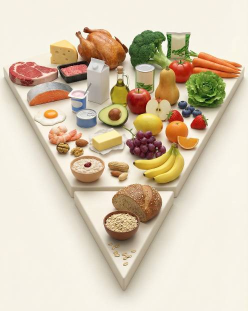 飲食金字塔錯 美國最新飲食指南。(圖片來源:日日健康)