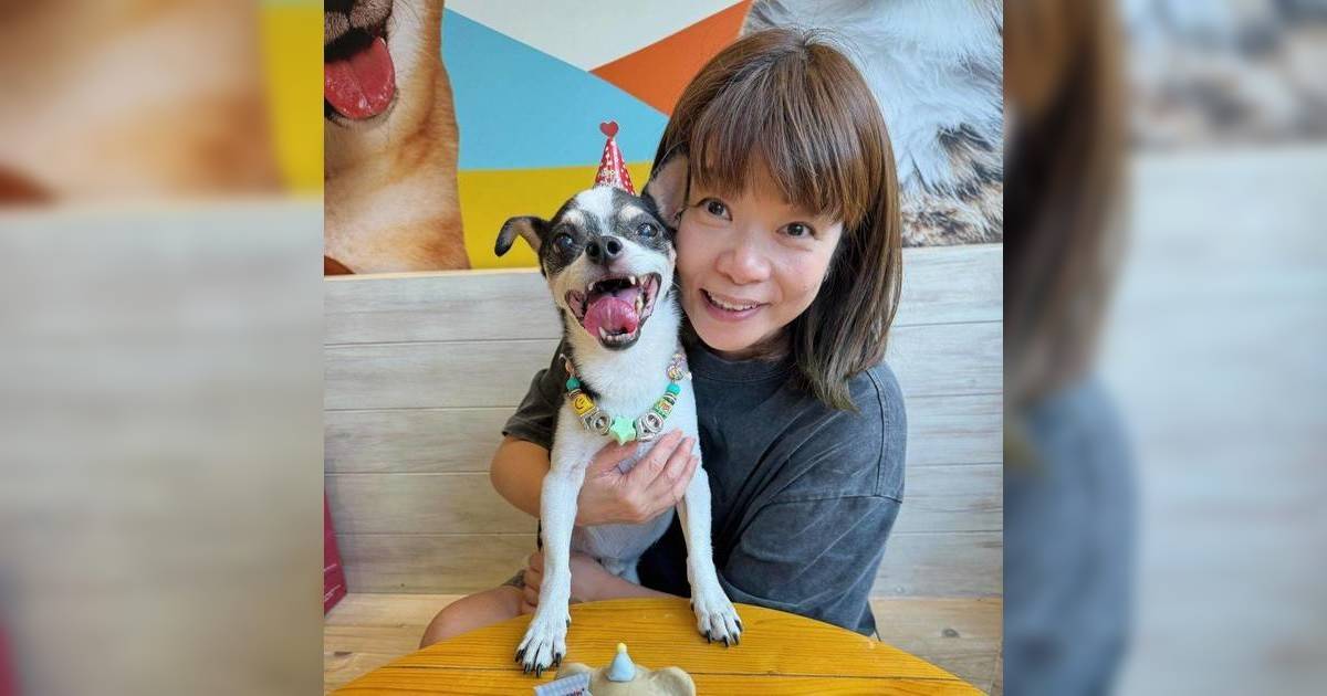 新婚小儀上「神棍堂」驚現靈異事件？再見離世愛犬 感動直呼好掛住