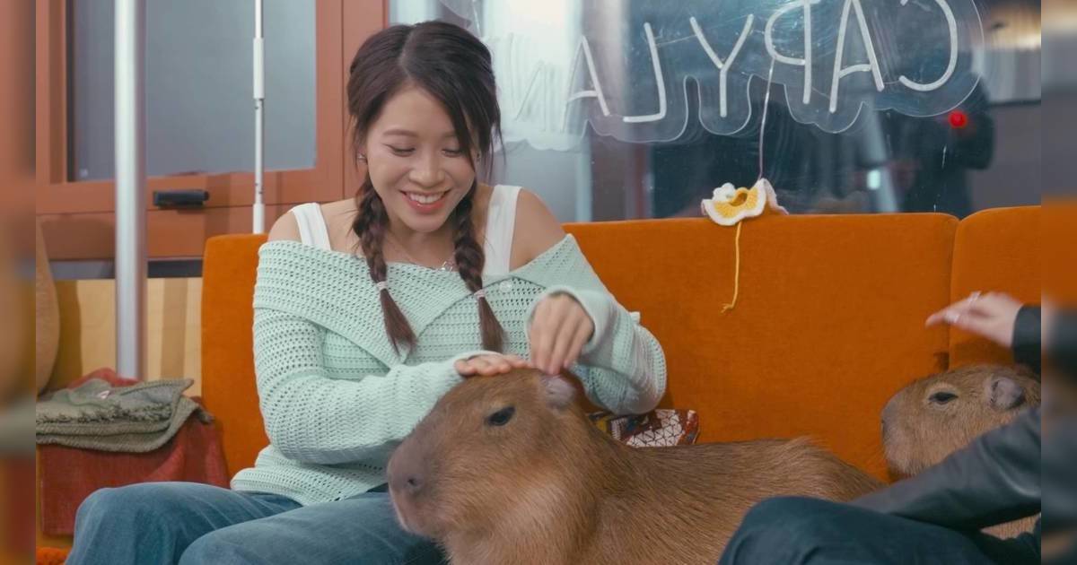 尋歡作樂姐姐｜林凱恩親親卡皮巴拉！突發一幕嚇到失控尖叫場面震撼