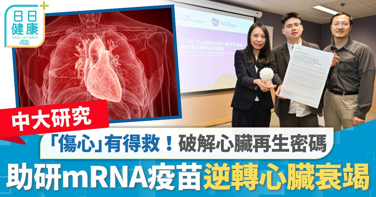中大研究｜「傷心」有得救！破解心臟再生密碼　助研mRNA疫苗逆轉心臟衰竭