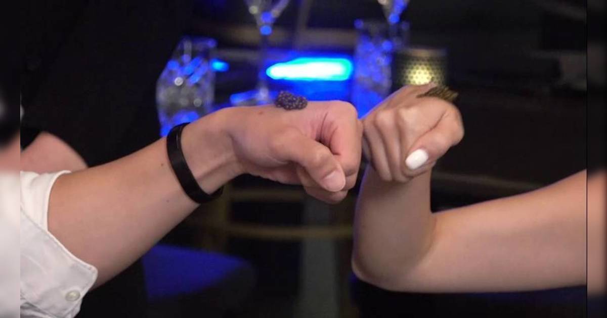 奢遊記｜鄭衍峰試食$5,600天價魚子醬 嚇到爆金句！揭賭客一鋪$10萬美金瘋狂要求