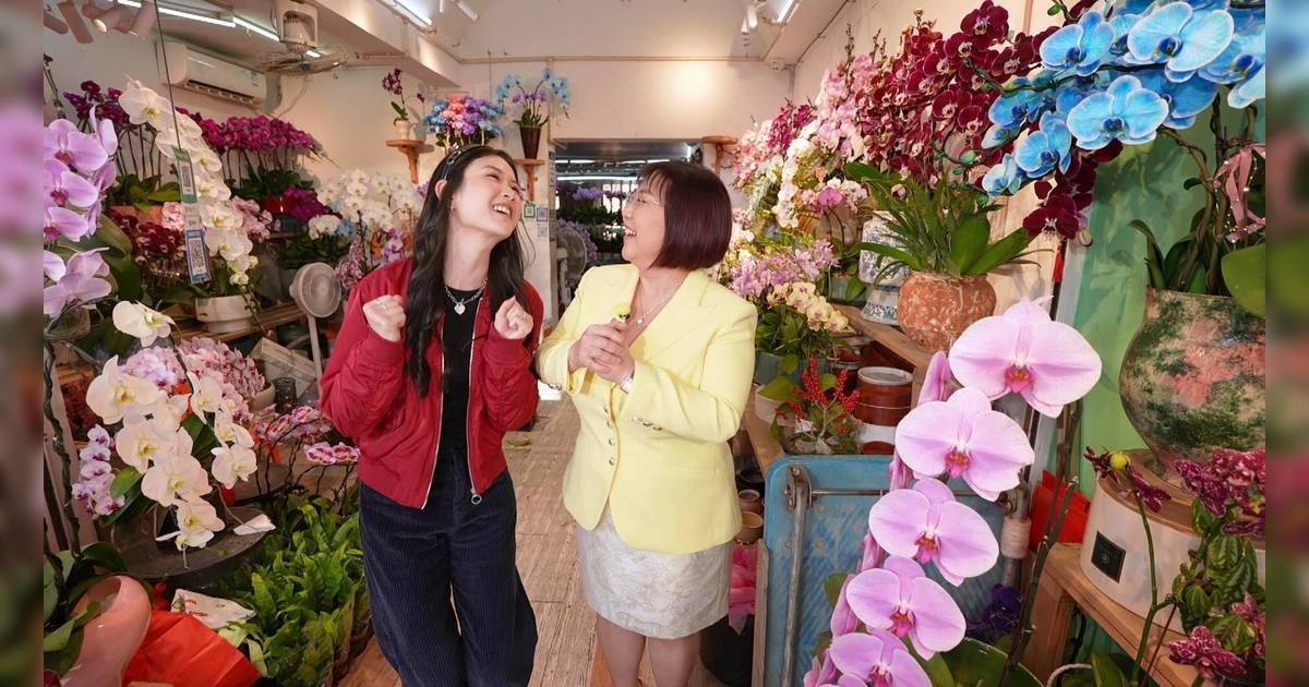 一馬當先行大運｜麥玲玲教你新年植物催財大法！辦公室擺錯一物即招是非