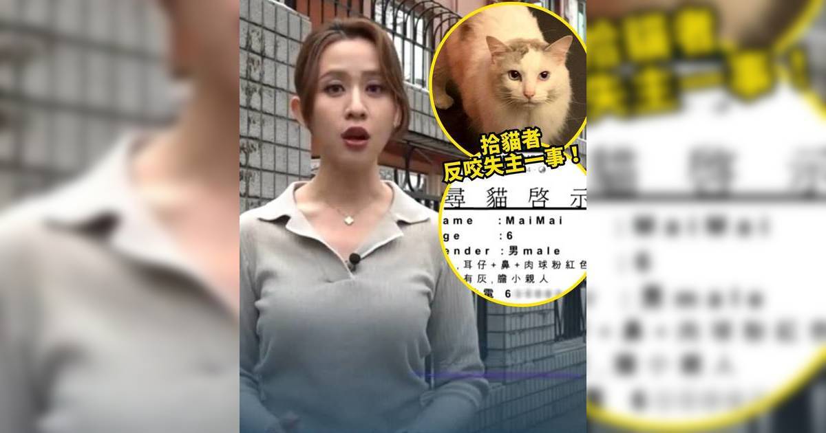 東張西望｜梁菁琳採訪尋貓爆羅生門 失主欲領回主子竟被索價30萬