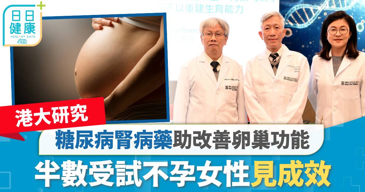港大研究｜糖尿病腎病藥助改善卵巢功能 半數受試不孕女性見成效
