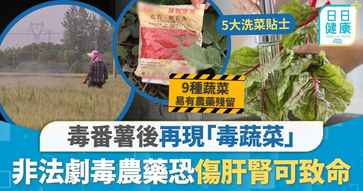 毒蔬菜再現！黑心菜農濫用劇毒農藥 恐傷肝腎