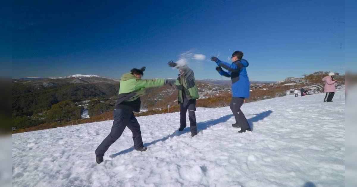 他們澳洲駕期｜蕭正楠爆曹永廉曾侮辱黃翠如！雪球大戰公報私仇畫面勁震撼