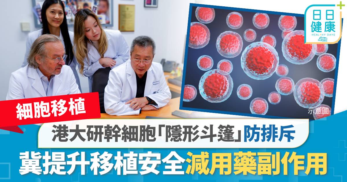 細胞移植｜港大研幹細胞「隱形斗篷」防排斥　冀提升移植安全、減用藥副作用