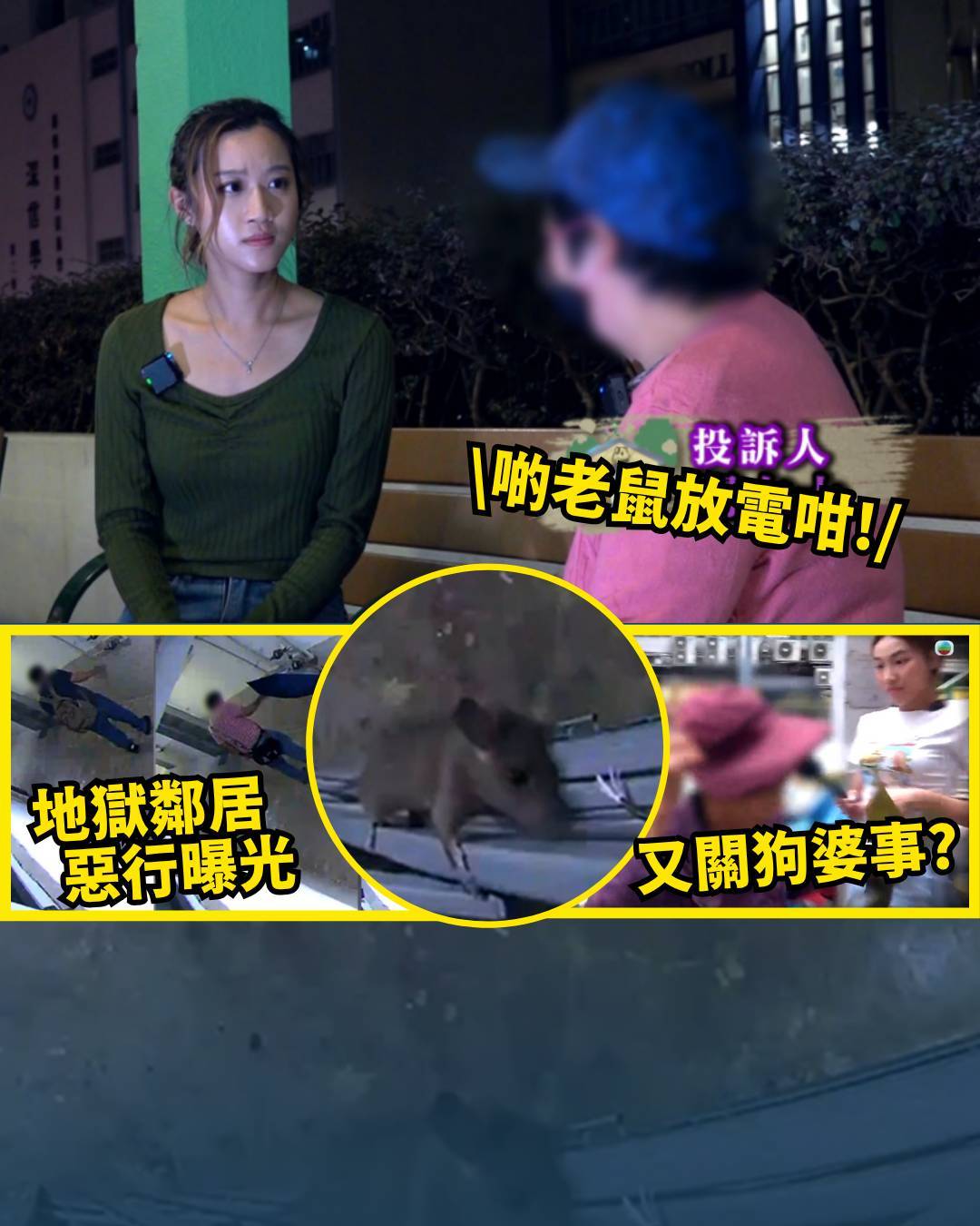 東張西望｜公屋走廊淪陷變老鼠樂園 一層兩戶垃圾屋 街坊勁崩潰!