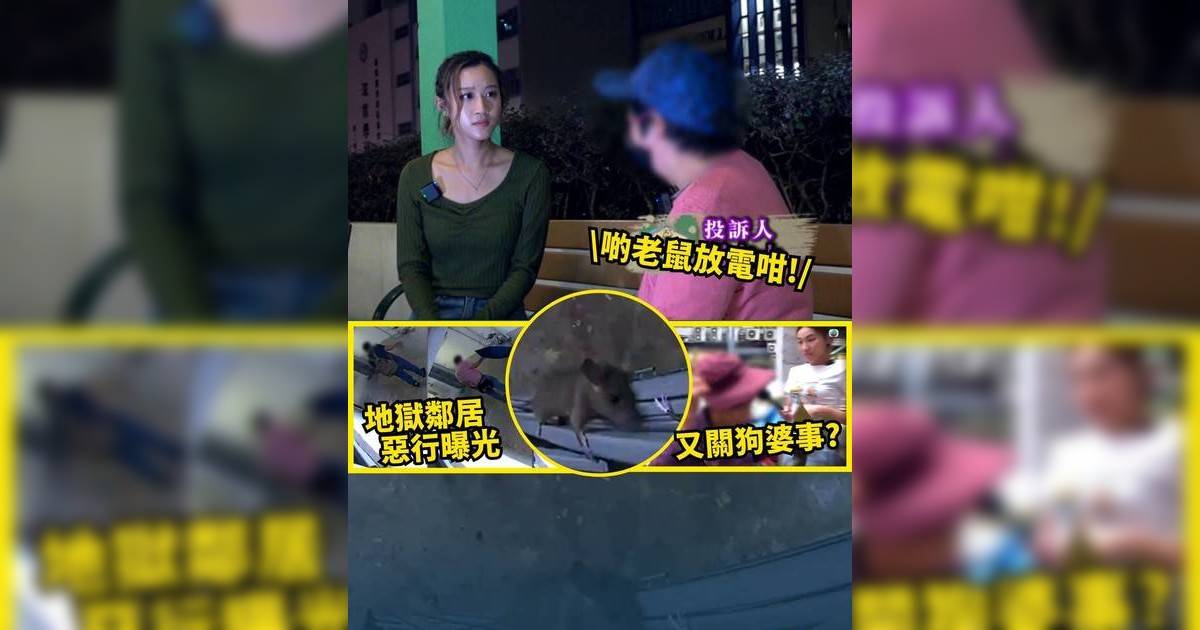 東張西望｜公屋走廊淪陷變老鼠樂園 一層兩戶垃圾屋 街坊勁崩潰!