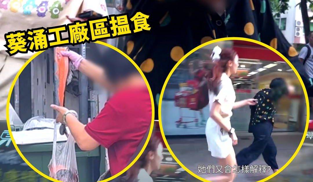 東張西望｜執三文魚上集 姨姨團垃圾桶摷變質食材 黎寬怡狂奔追訪揭恐怖內幕