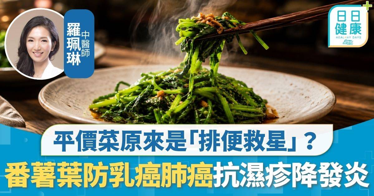 飲食養生｜平價菜原來是「排便救星」？ 中醫師外食必叫番薯葉 防乳癌肺癌抗濕疹降發炎