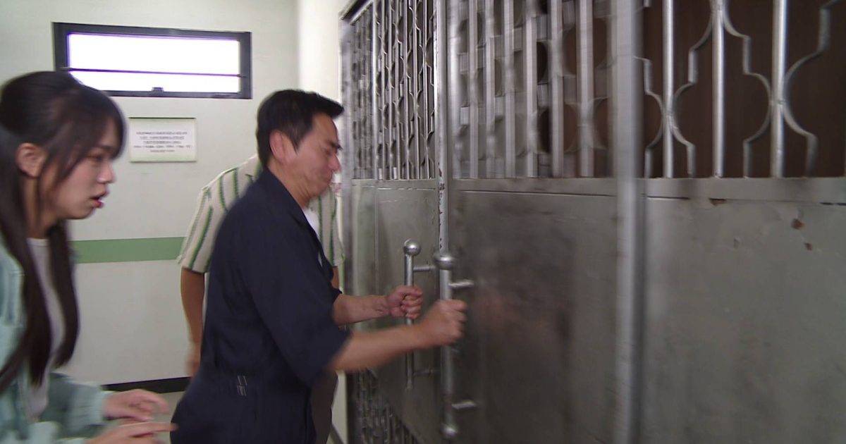 愛．回家之三代同糖｜64歲歐瑞偉體能嚇親網民！一招過肩摔KO唐嘉麟畫面震撼