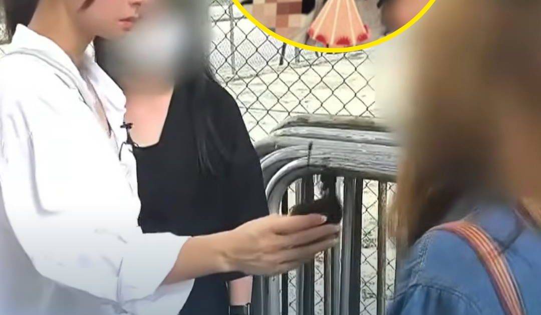 東張西望｜中年婦為男同事拋夫棄子 李旻芳直擊小三大婆街頭互片